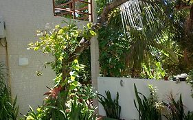 Casa da Andrea Imbassai